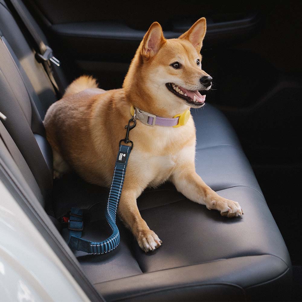 Dog Car Seat Belt Adjustable Nylon Safety Harness Connector