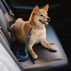 Dog Car Seat Belt Adjustable Nylon Safety Harness Connector
