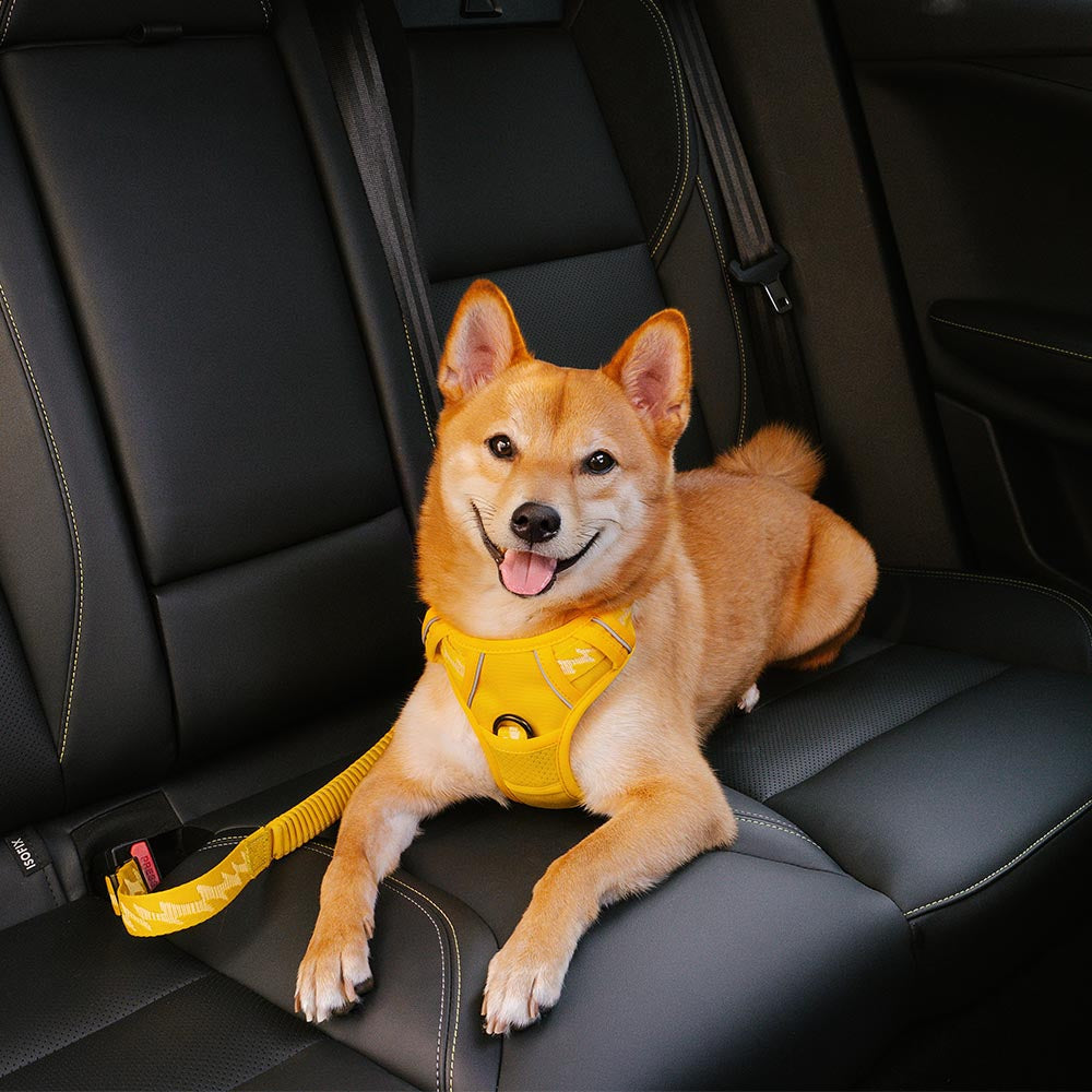 Dog Car Seat Belt Adjustable Nylon Safety Harness Connector