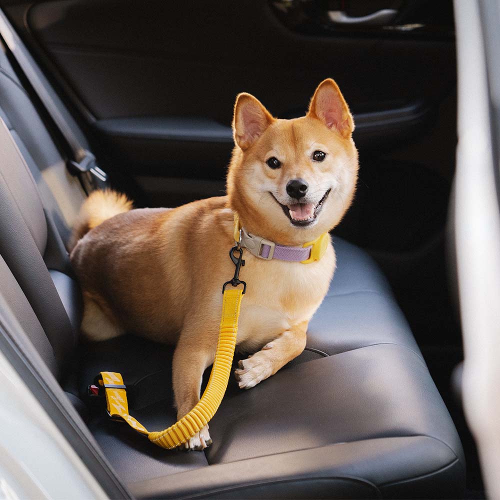 Dog Car Seat Belt Adjustable Nylon Safety Harness Connector
