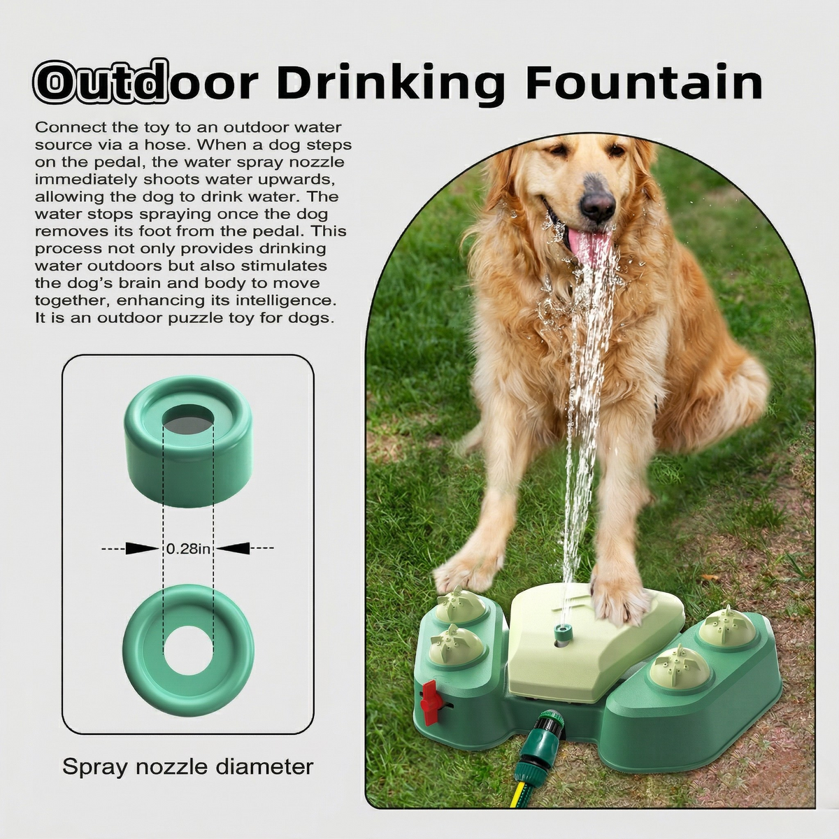 AquaPaw Dog Water Play Station – Pedal-Activated Outdoor Toy