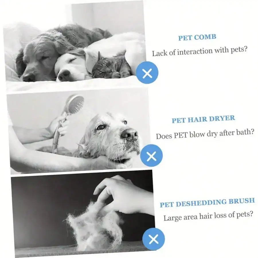 2-in-1 Pet Hair Dryer with Sliding Brush Adjustable Speed