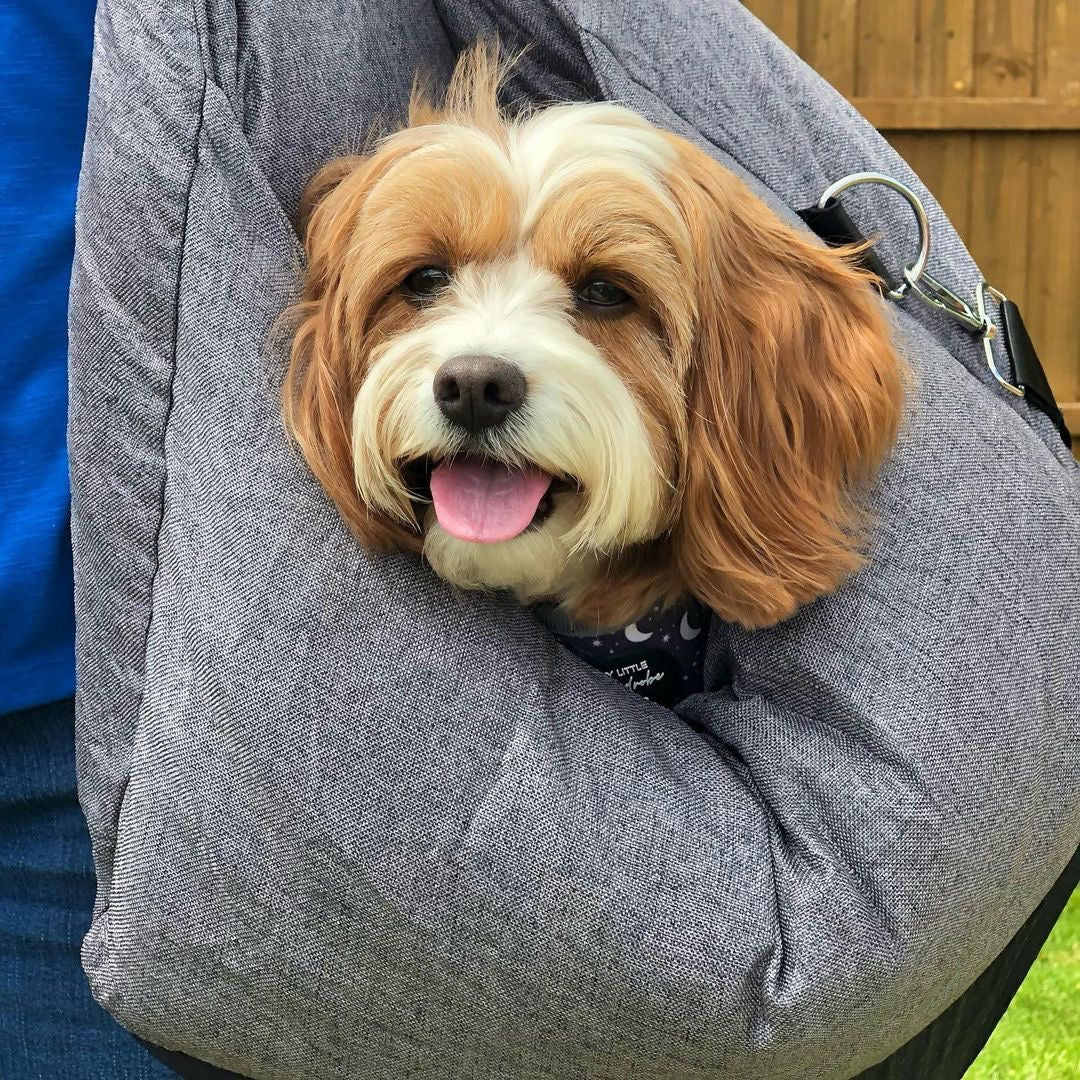 Dog Car Seat Bed – Adjustable Safety Leash & Machine Washable