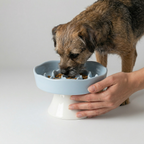 Ceramic Elevated Slow Feeder Bowl for Dogs & Cats