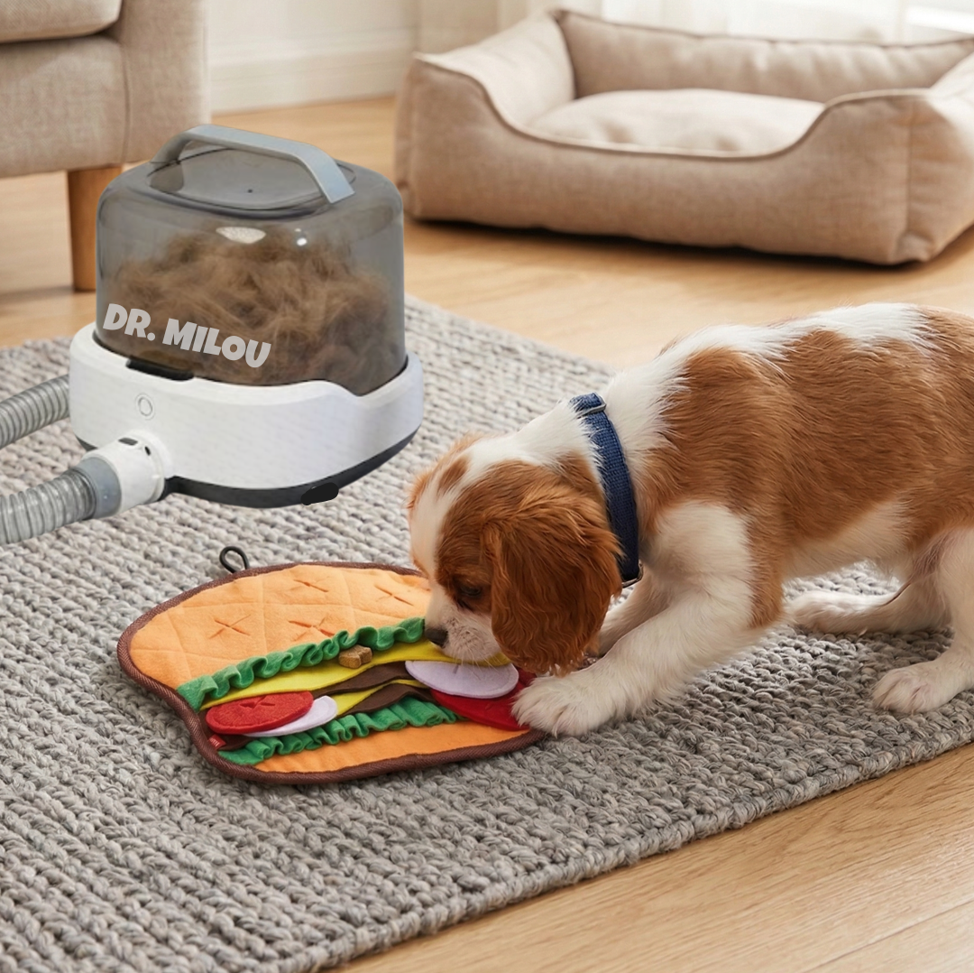 Cordless Vacuum Pet Grooming Kit – All-in-One Home Groomer