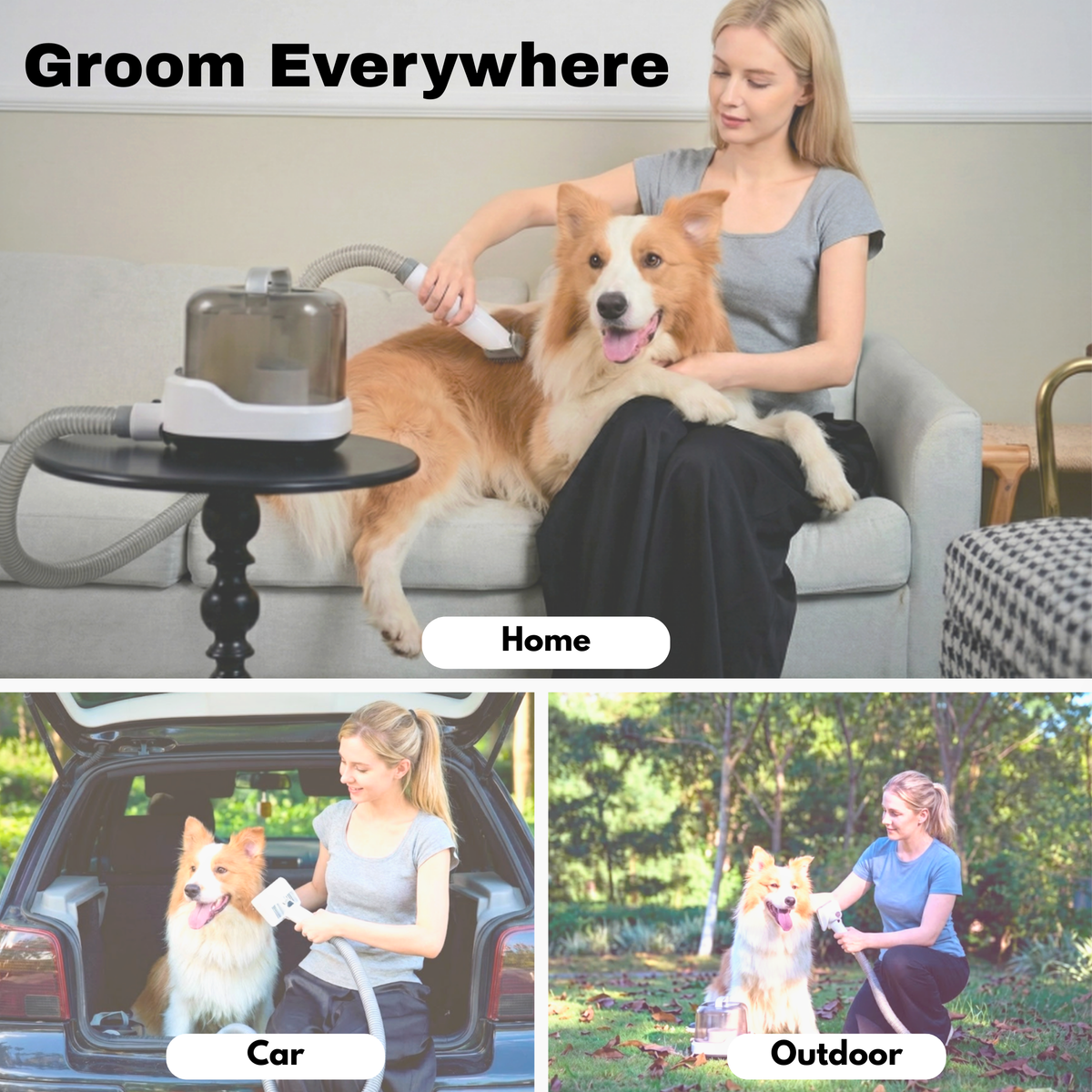 Cordless Vacuum Pet Grooming Kit – All-in-One Home Groomer