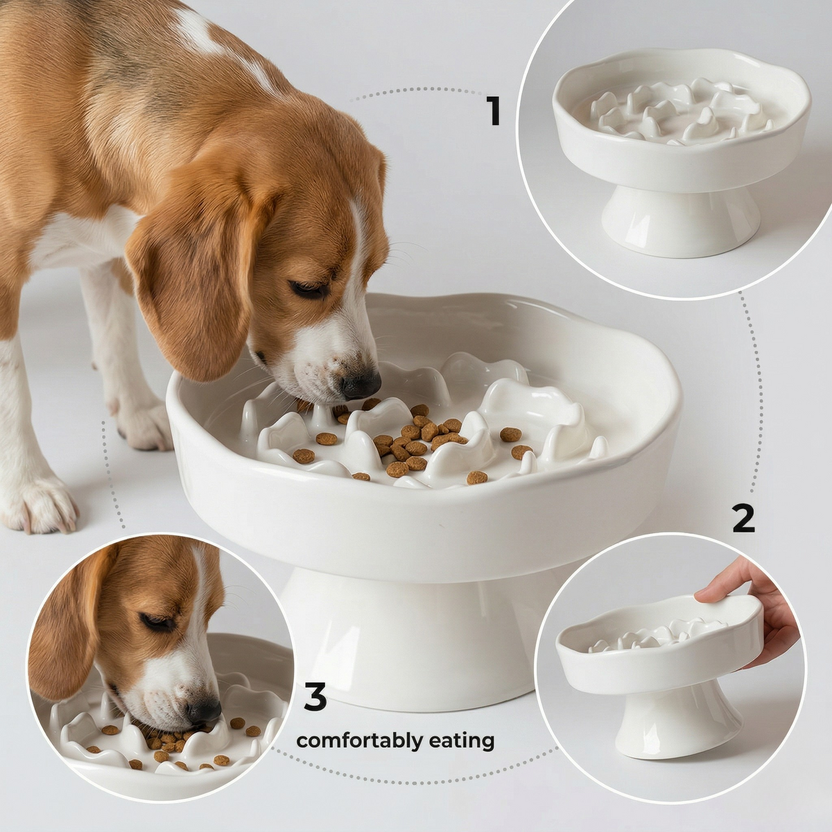Ceramic Elevated Slow Feeder Bowl for Dogs & Cats