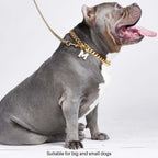 Gold Cuban Link Chain Dog Collar by Spark Paws