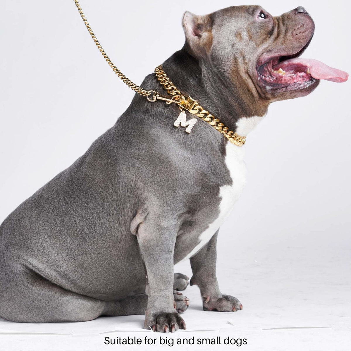 Gold Cuban Link Chain Dog Collar by Spark Paws