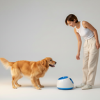 Automatic Dog Ball Launcher – Electric Fetch Toy for Indoor Play