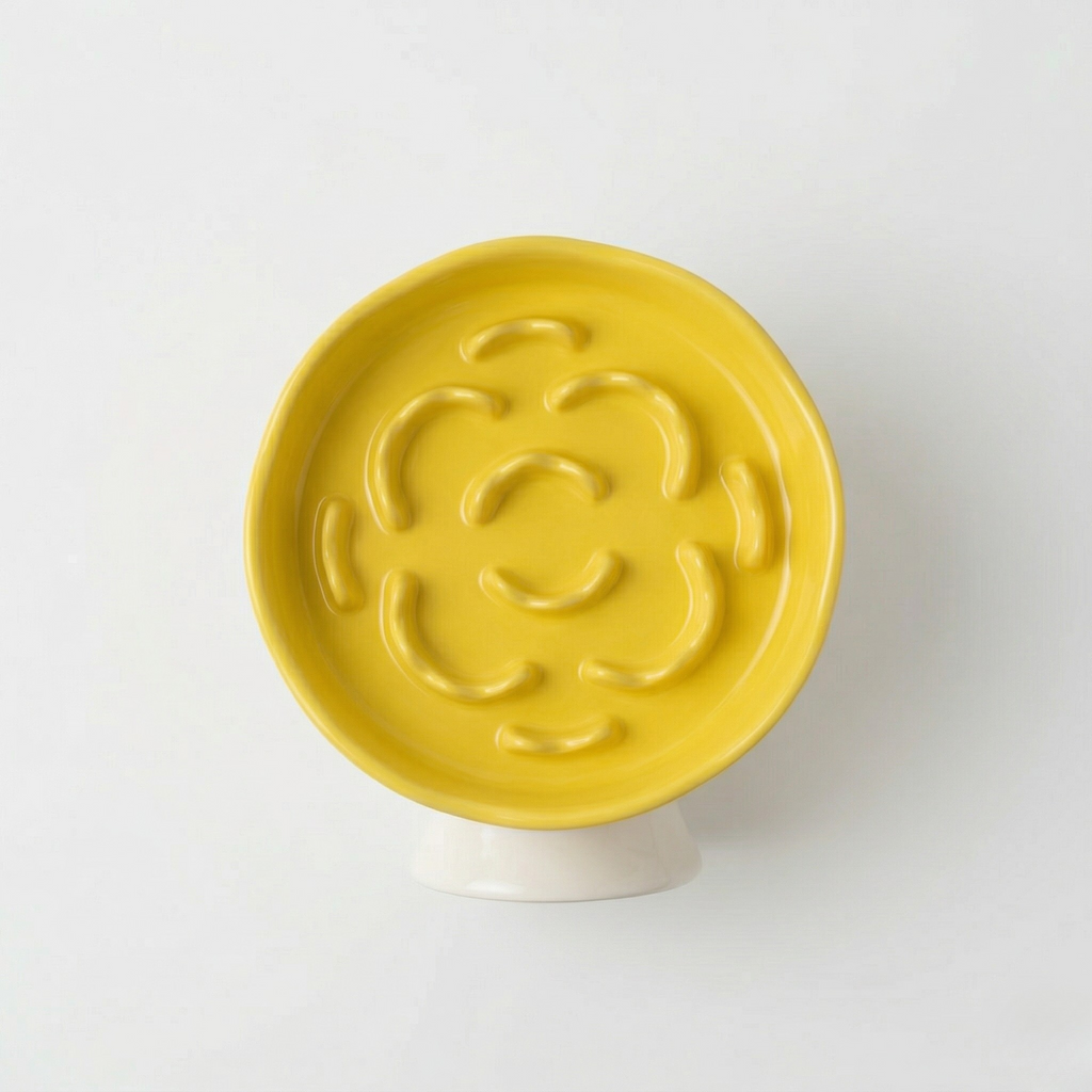 Ceramic Elevated Slow Feeder Bowl for Dogs & Cats