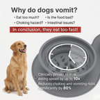 Silicone Collapsible Slow Feeder Travel Bowl for Dogs