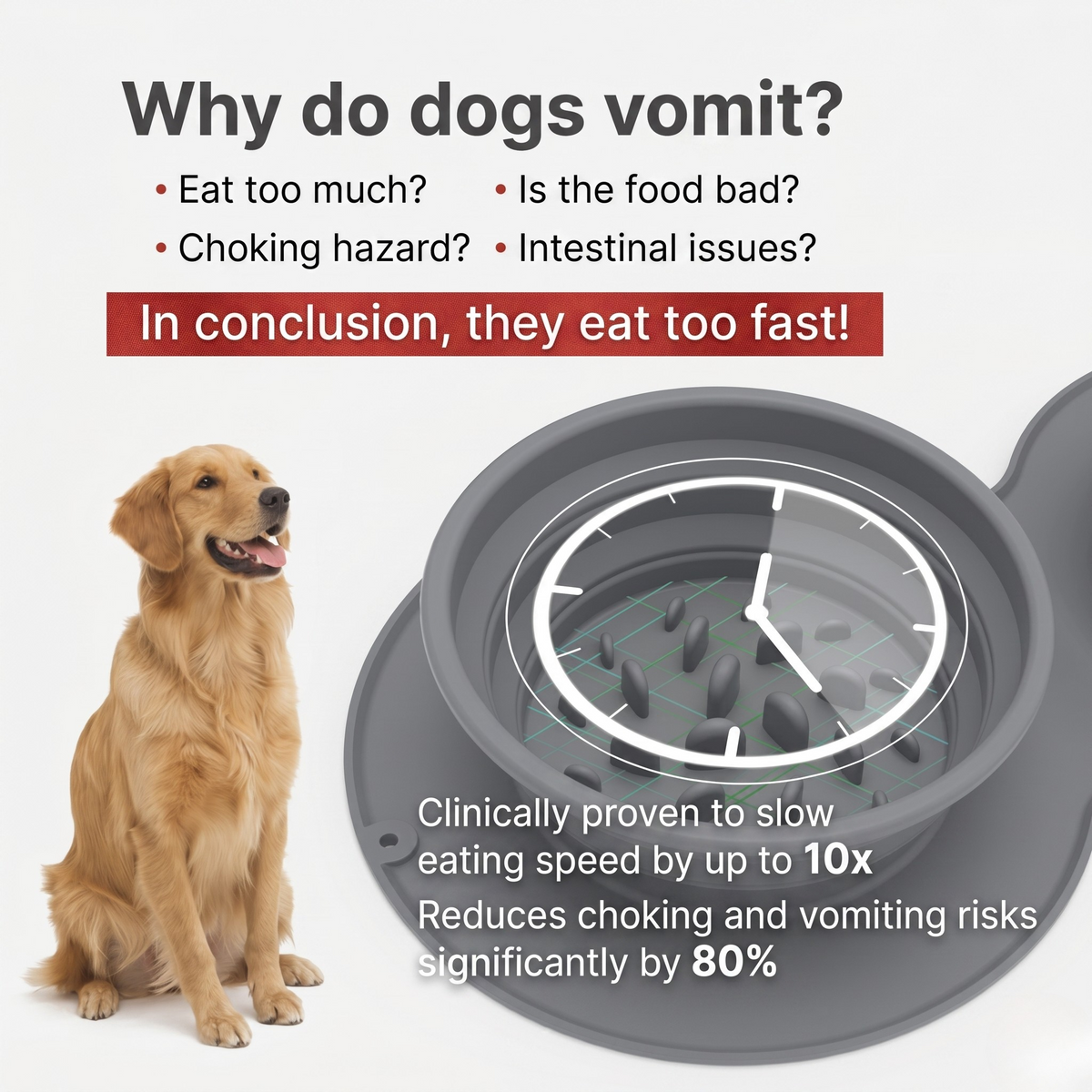 Silicone Collapsible Slow Feeder Travel Bowl for Dogs