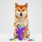 2-in-1 Dual Launcher Toy for Pets & Active Play