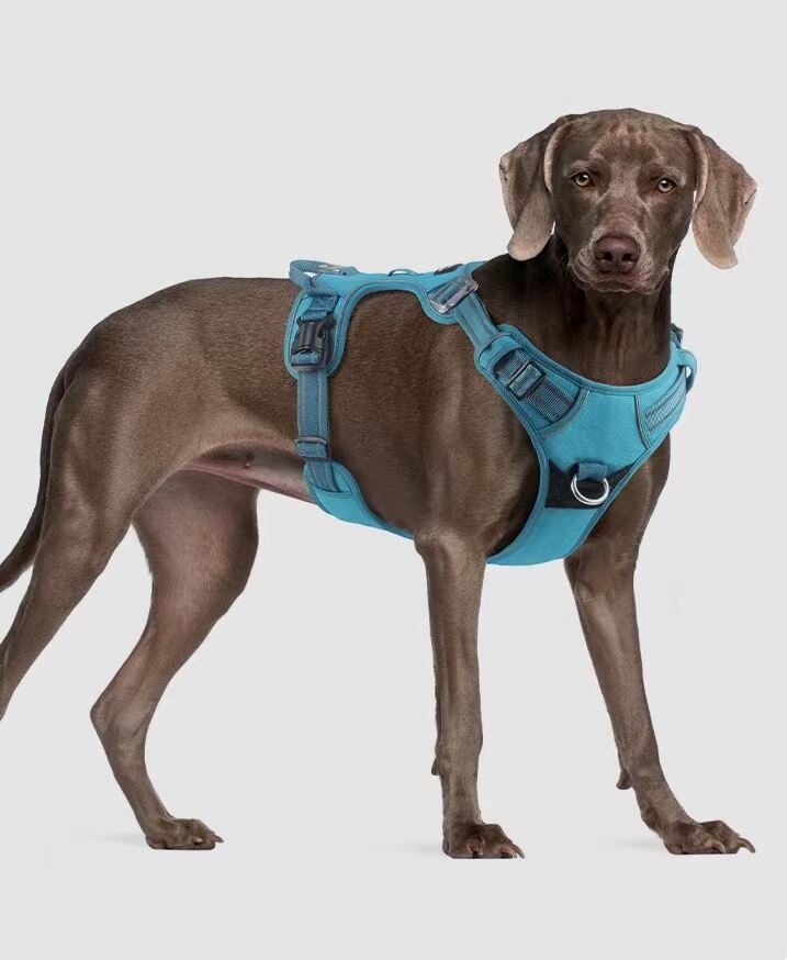 Escape-Resistant No-Pull Dog Harness for Large Breeds