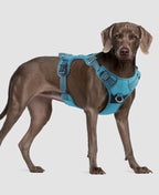 Escape-Resistant No-Pull Dog Harness for Large Breeds