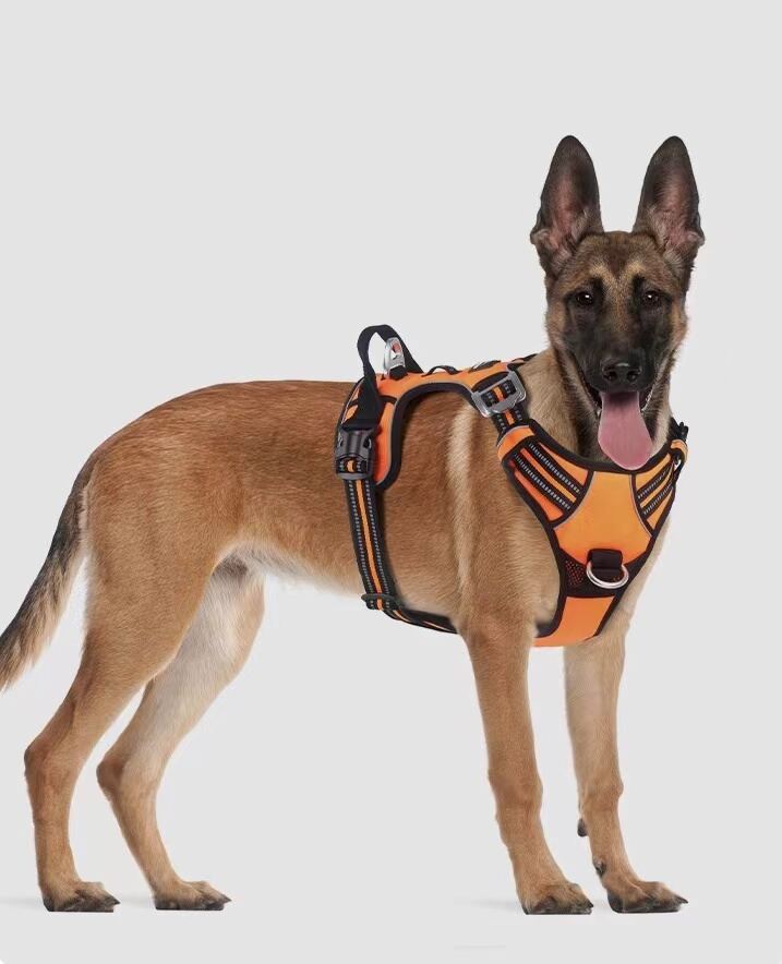 Escape-Resistant No-Pull Dog Harness for Large Breeds