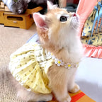 Breathable Floral Cat Dog Skirt Dress for Small Pets