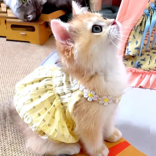 Breathable Floral Cat Dog Skirt Dress for Small Pets