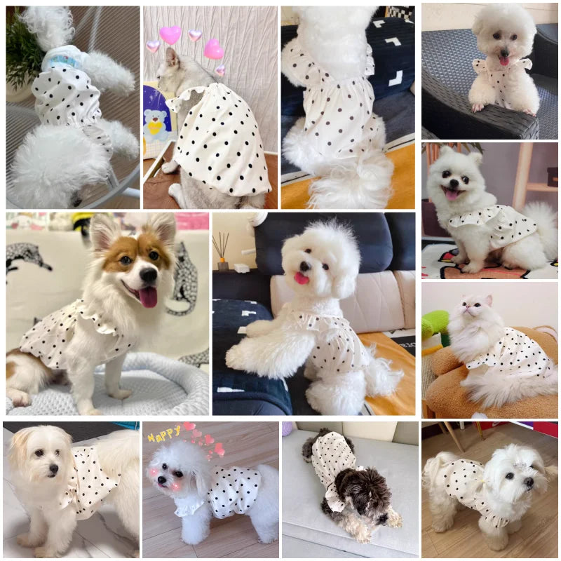Dog Summer Dress – Cute Pet Clothing for Small Breeds