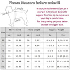 Dog Summer Dress – Cute Pet Clothing for Small Breeds