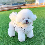 Dog Summer Dress – Cute Pet Clothing for Small Breeds