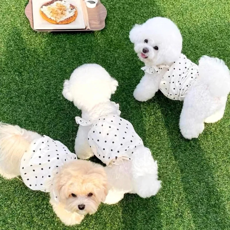 Dog Summer Dress – Cute Pet Clothing for Small Breeds