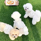 Dog Summer Dress – Cute Pet Clothing for Small Breeds