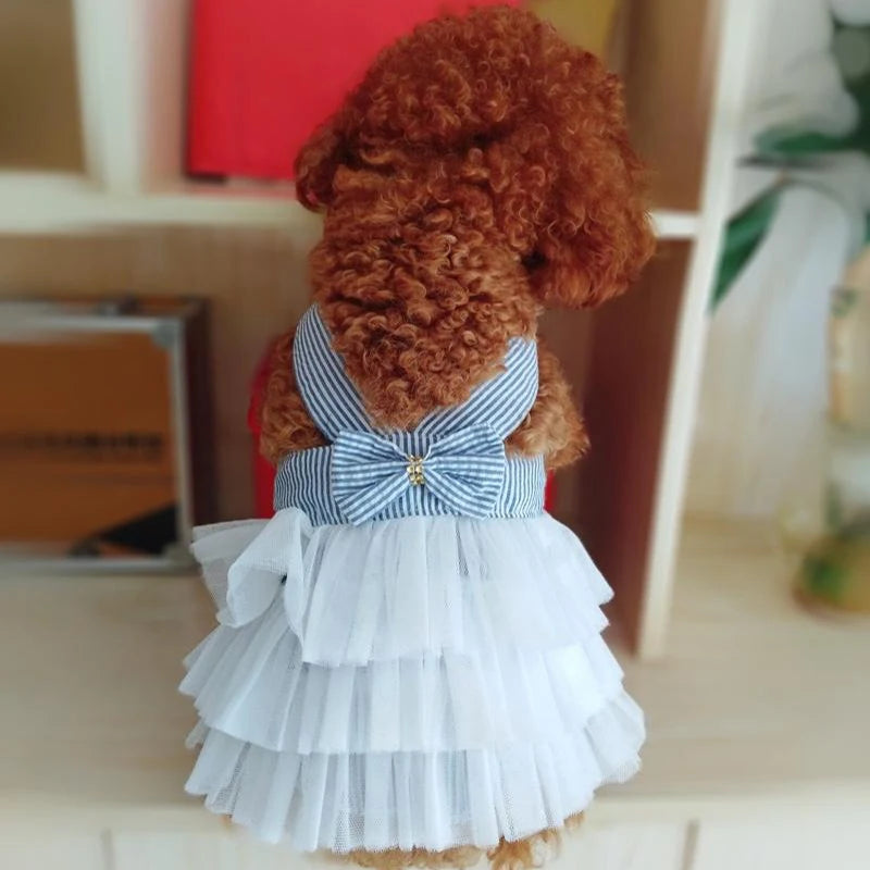 Pet Summer Dress Lace Stripe Skirt for Dogs and Cats