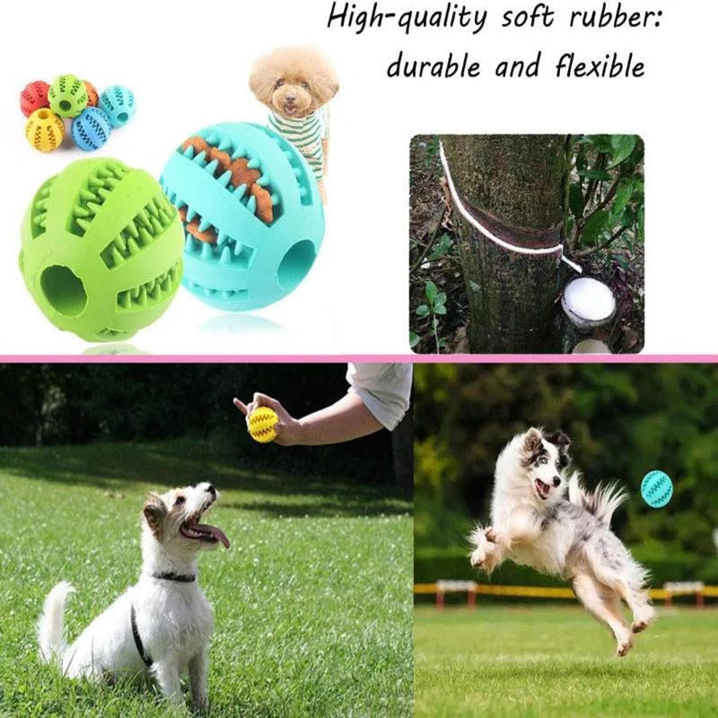 Interactive Rubber Dog Ball Toy – Treat Feeder & Teeth Cleaner