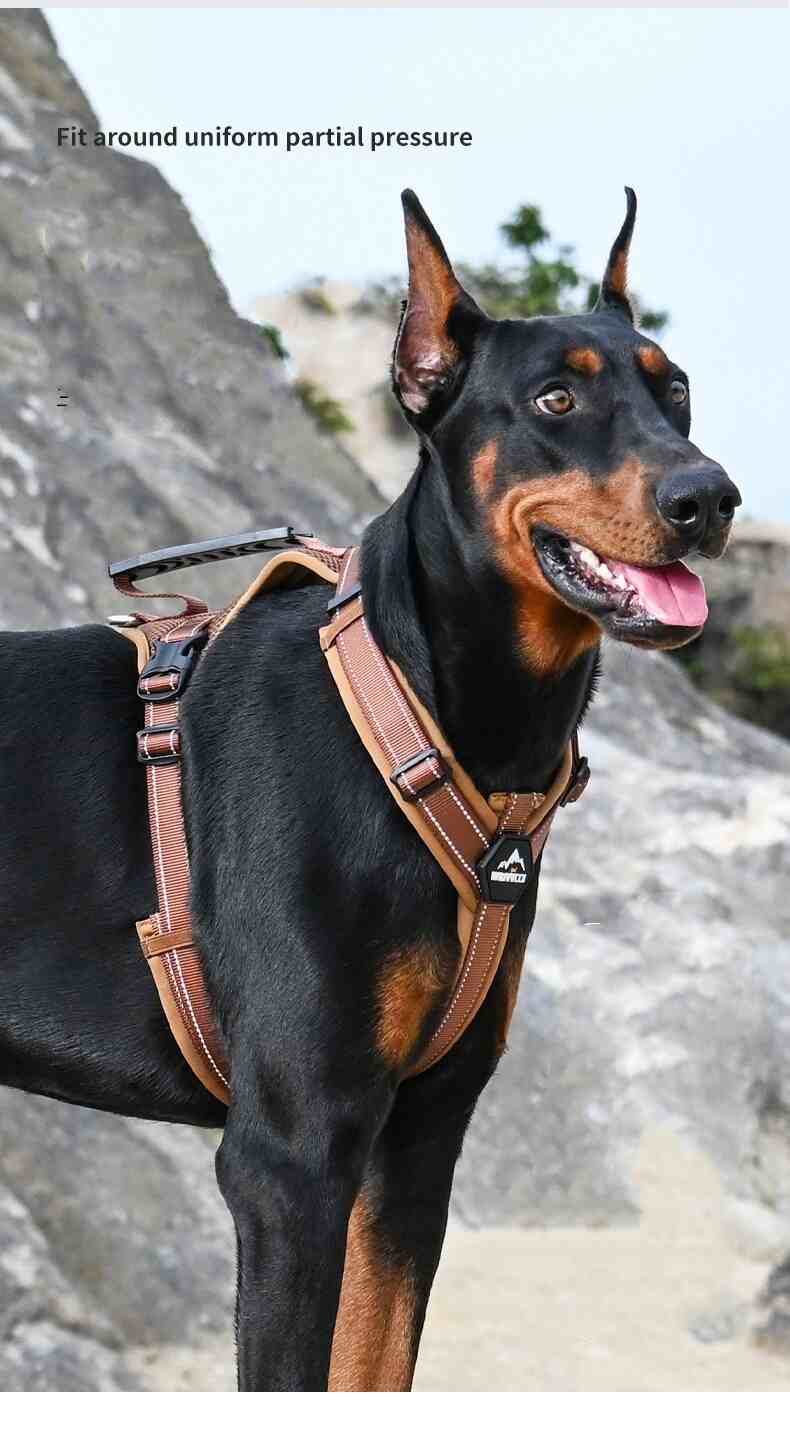 No-Pull Dog Harness for Strong Pullers & Reactive Dogs