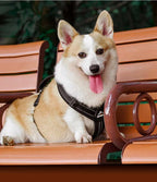 No-Pull Dog Harness for Strong Pullers & Reactive Dogs