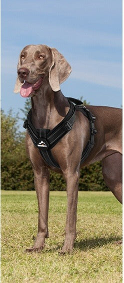 No-Pull Dog Harness for Strong Pullers & Reactive Dogs