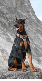 No-Pull Dog Harness for Strong Pullers & Reactive Dogs