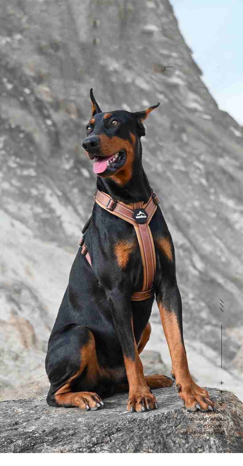 No-Pull Dog Harness for Strong Pullers & Reactive Dogs