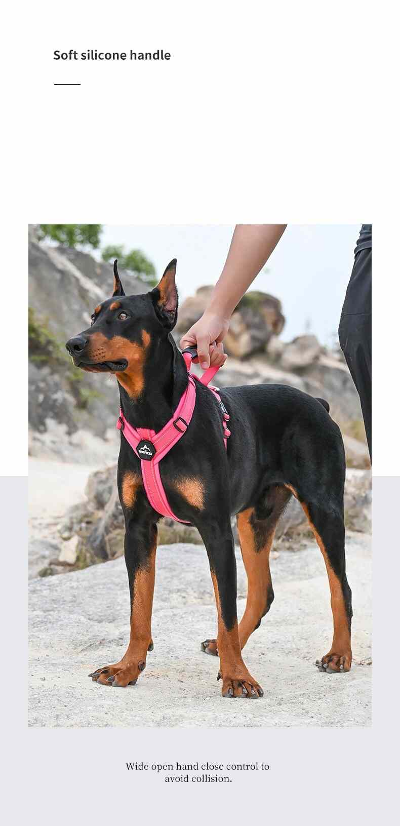 No-Pull Dog Harness for Strong Pullers & Reactive Dogs