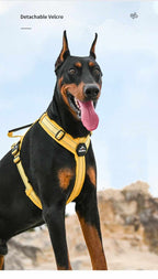 No-Pull Dog Harness for Strong Pullers & Reactive Dogs