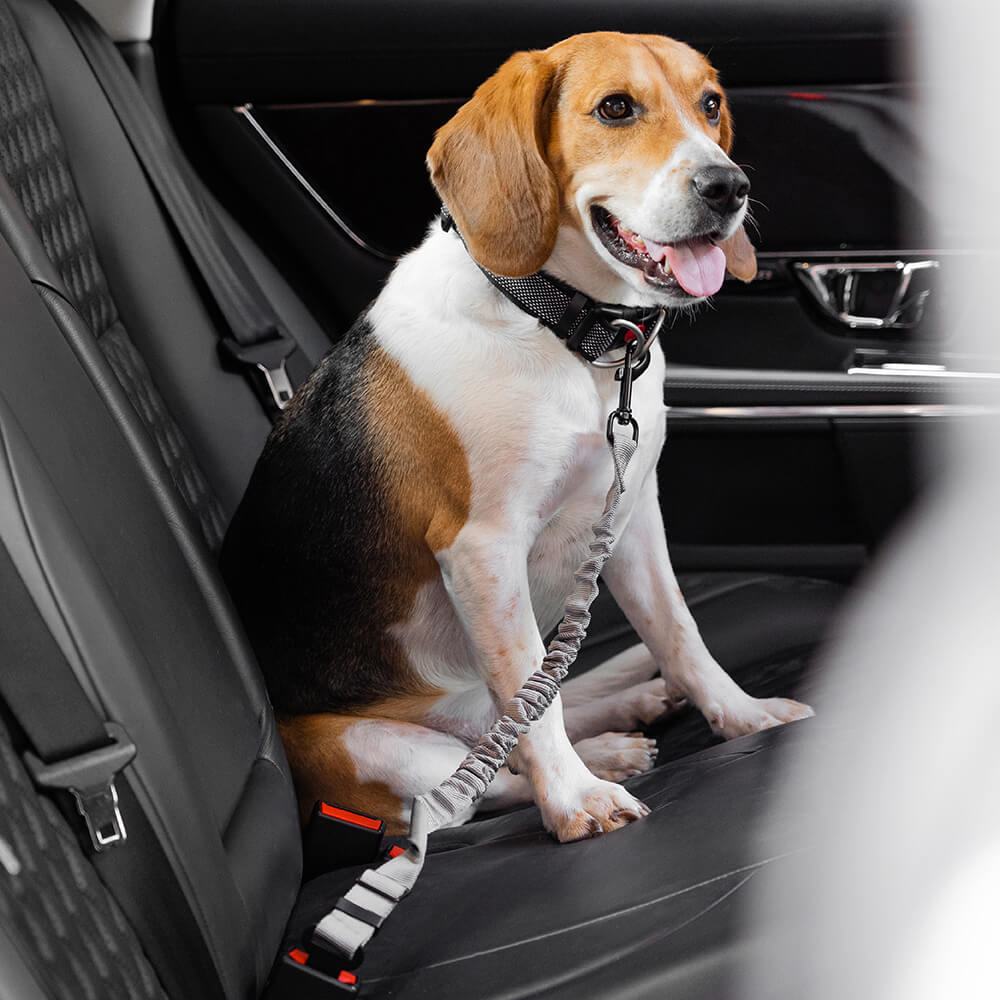 Dog Car Seat Belt Adjustable Nylon Safety Harness Connector