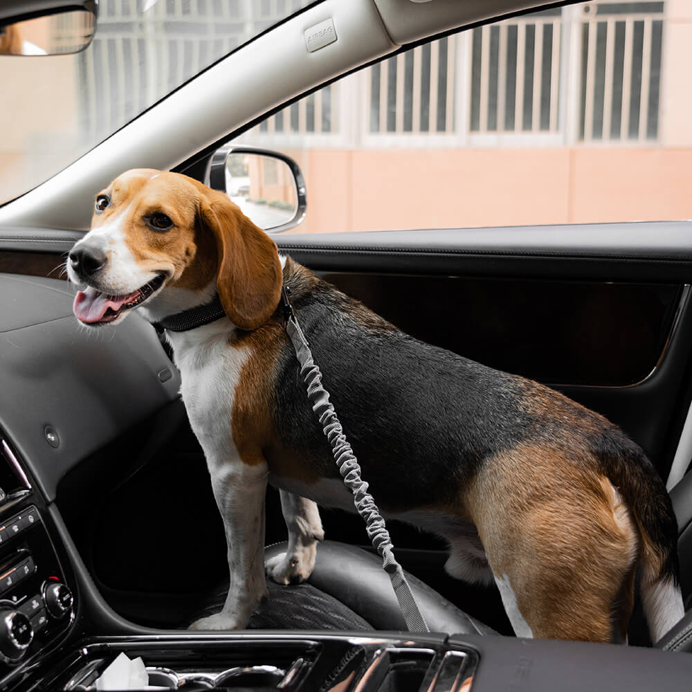 Dog Car Seat Belt Adjustable Nylon Safety Harness Connector