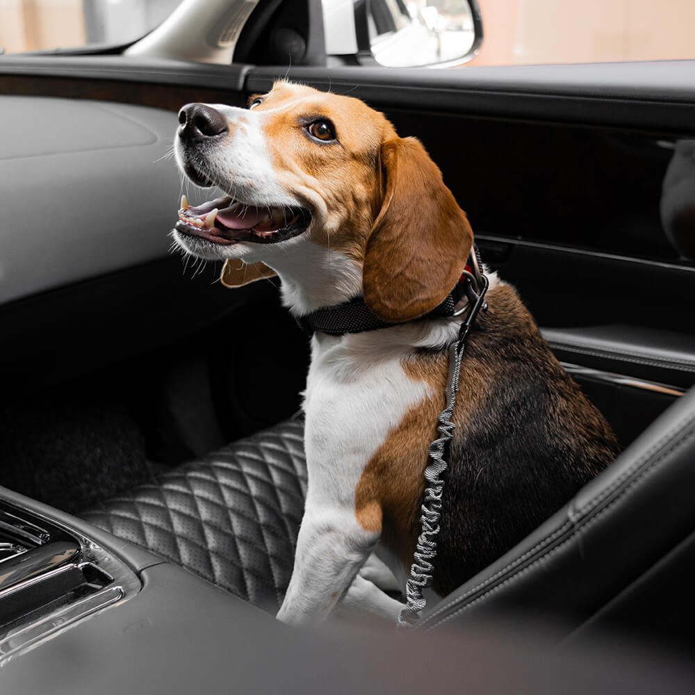 Dog Car Seat Belt Adjustable Nylon Safety Harness Connector