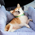 Large Dog Car Seat Bed – Portable Pet Booster with Safety Harness