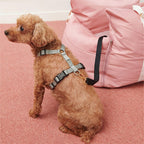 Waterproof Oxford Dog Car Seat Bed with Safety Pillows