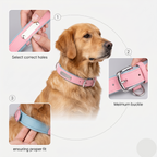 Breathable Cotton Dog Collar with Nameplate – Lightweight & Durable