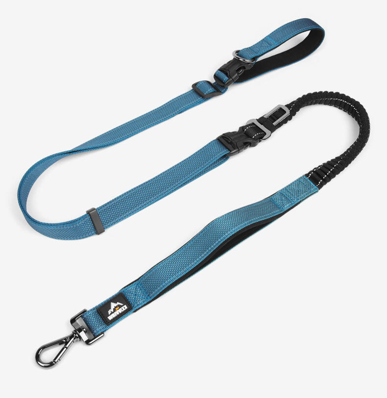 Heavy Duty Hands Free Dog Leash with Extra Handle – No Pull