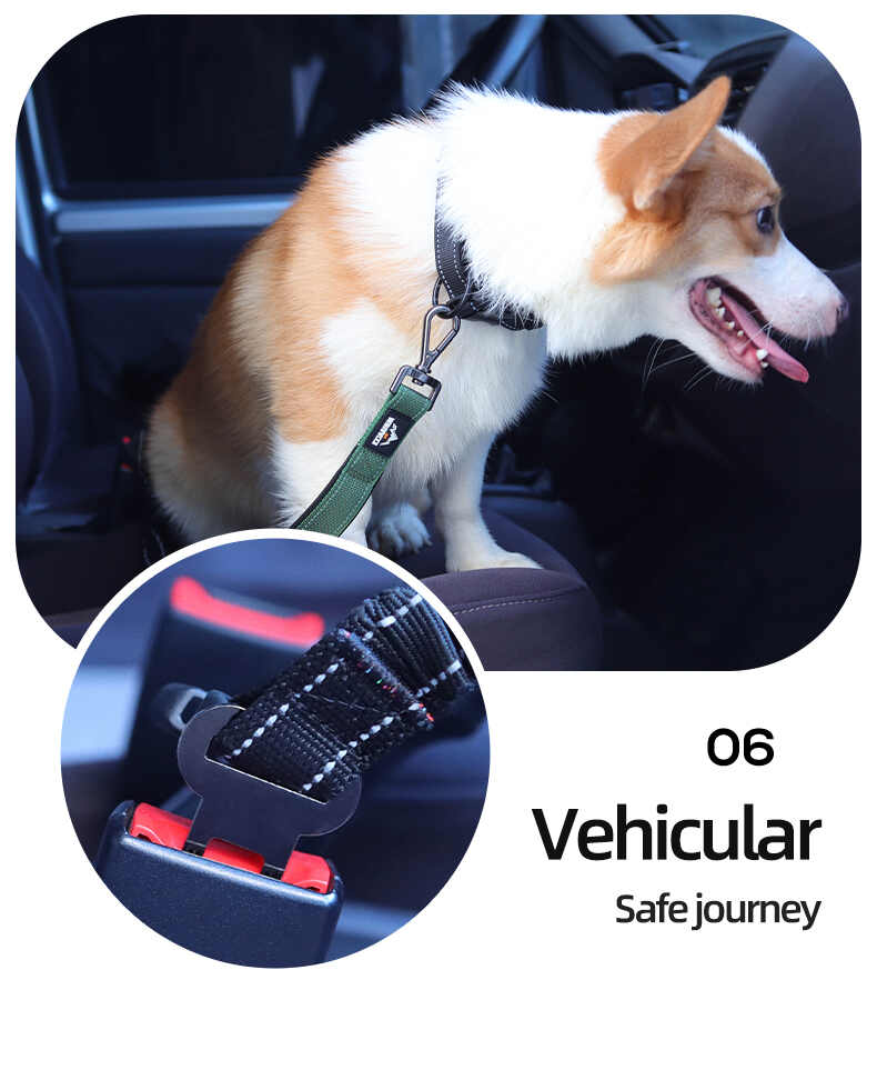 Heavy Duty Hands Free Dog Leash with Extra Handle – No Pull