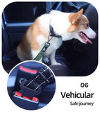 Heavy Duty Hands Free Dog Leash with Extra Handle – No Pull