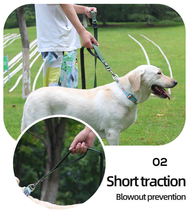 Heavy Duty Hands Free Dog Leash with Extra Handle – No Pull