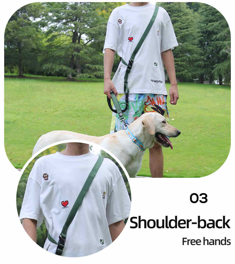 Heavy Duty Hands Free Dog Leash with Extra Handle – No Pull