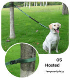 Heavy Duty Hands Free Dog Leash with Extra Handle – No Pull