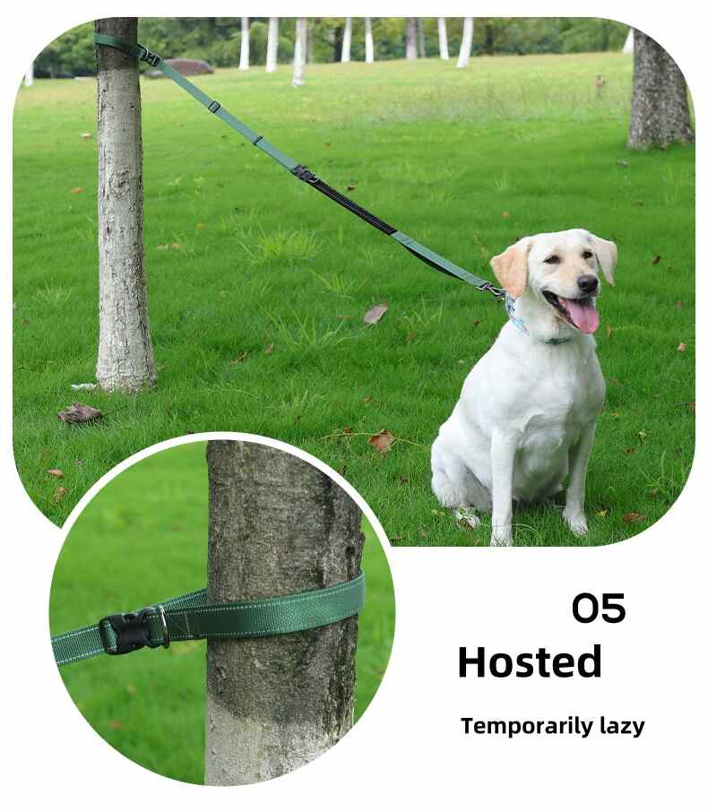 Heavy Duty Hands Free Dog Leash with Extra Handle – No Pull
